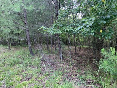 4,5&6 Mountain Wood Drive Murphy NC 28906