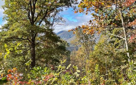 Lot 18 Harris Ridge Road Young Harris GA 30582