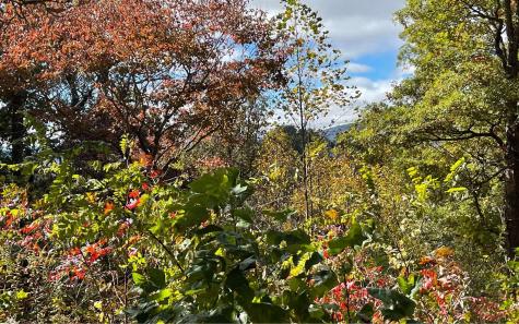 Lot 18 Harris Ridge Road Young Harris GA 30582