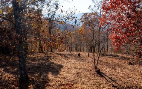 Lot 18 Harris Ridge Road Young Harris GA 30582