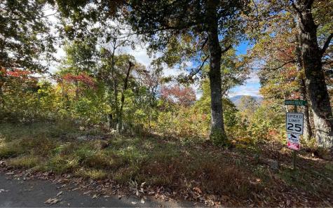 Lot 18 Harris Ridge Road Young Harris GA 30582