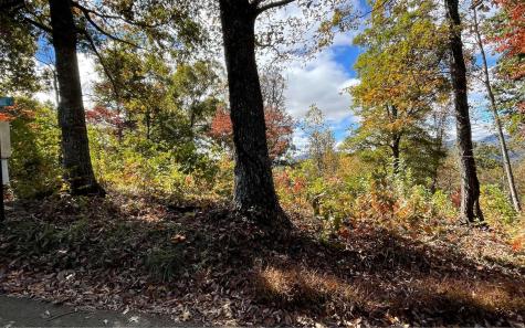 Lot 18 Harris Ridge Road Young Harris GA 30582