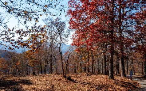 Lot 18 Harris Ridge Road Young Harris GA 30582