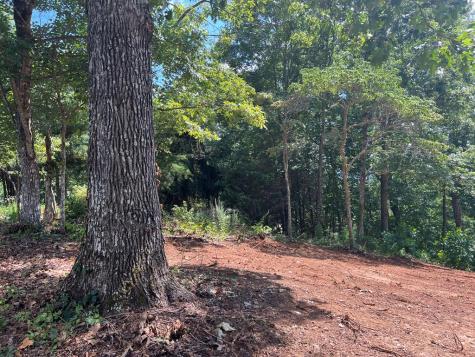 Lot 18 Harris Ridge Road Young Harris GA 30582