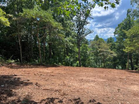 Lot 18 Harris Ridge Road Young Harris GA 30582