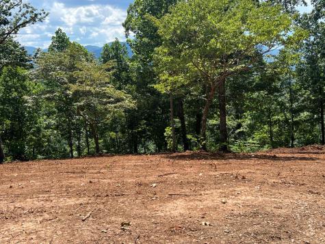 Lot 18 Harris Ridge Road Young Harris GA 30582
