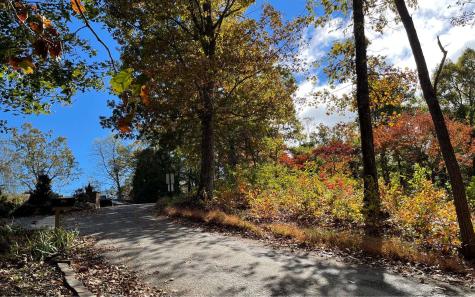 Lot 18 Harris Ridge Road Young Harris GA 30582