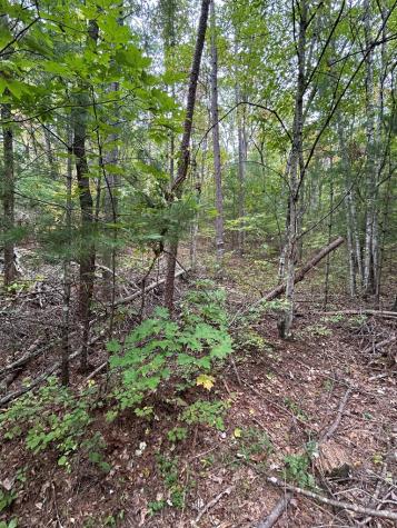 0 Goldfinch Lane Murphy NC 28906