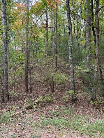 0 Goldfinch Lane Murphy NC 28906