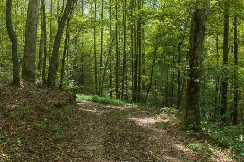 300 Sumac Lane Ellijay GA 30540