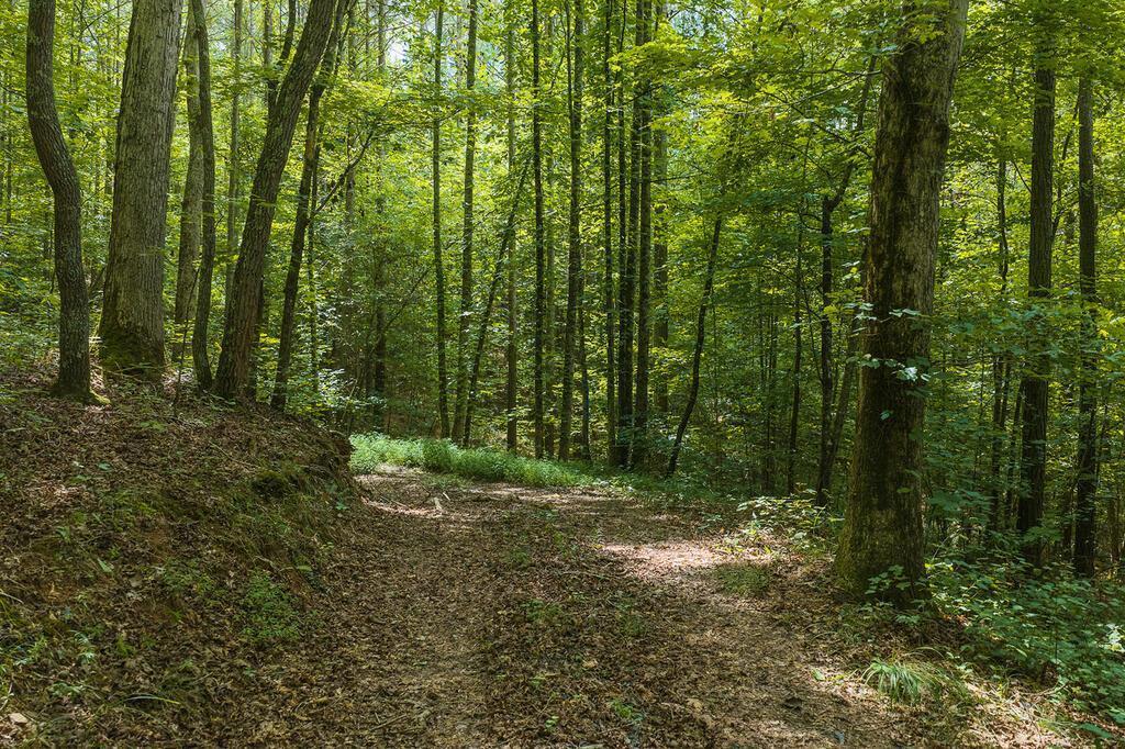300 Sumac Lane Ellijay GA 30540