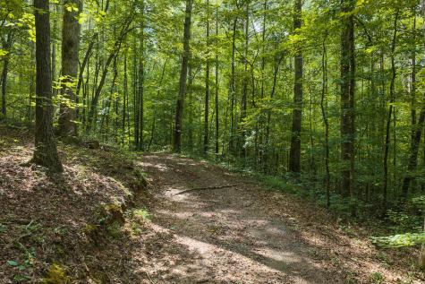 300 Sumac Lane Ellijay GA 30540
