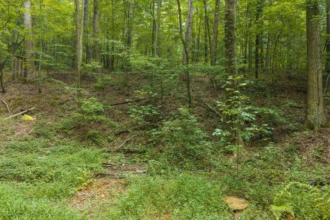 300 Sumac Lane Ellijay GA 30540
