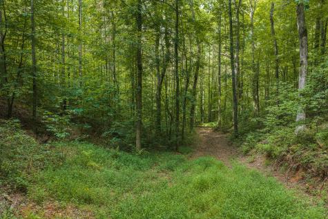 300 Sumac Lane Ellijay GA 30540