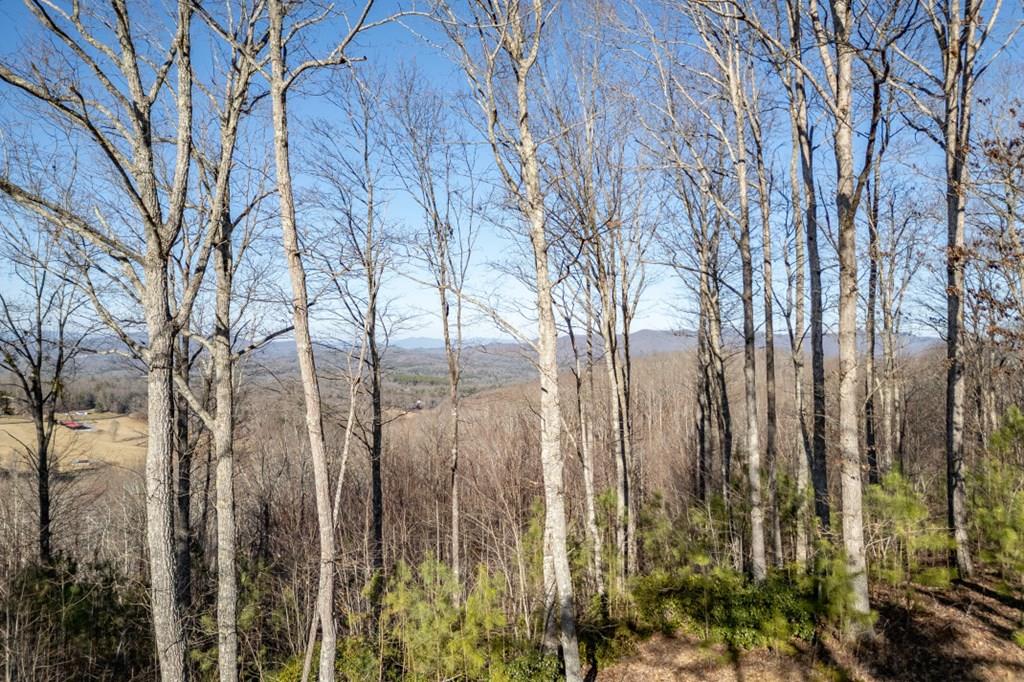 Lot 89 Thirteen Hundred Blairsville GA 30512