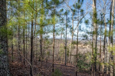 Lot 89 Thirteen Hundred Blairsville GA 30512