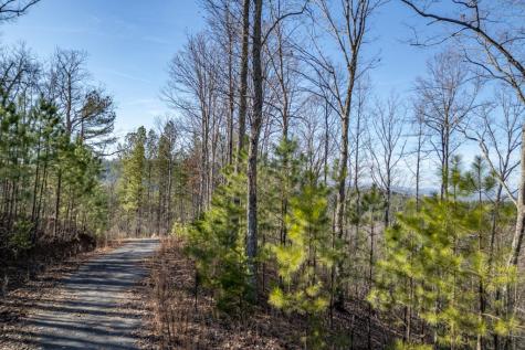 Lot 89 Thirteen Hundred Blairsville GA 30512
