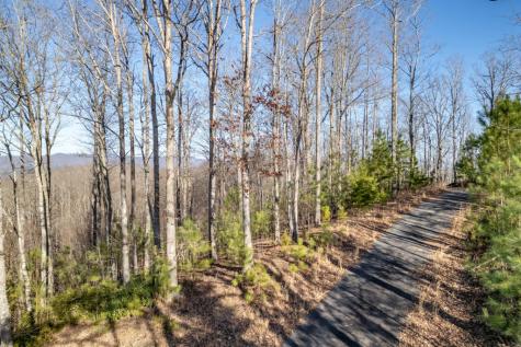 Lot 89 Thirteen Hundred Blairsville GA 30512