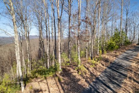 Lot 89 Thirteen Hundred Blairsville GA 30512