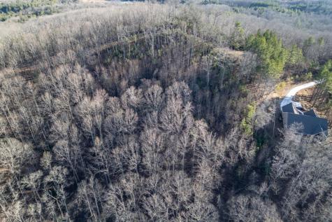 Lot 89 Thirteen Hundred Blairsville GA 30512