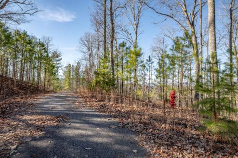 Lot 89 Thirteen Hundred Blairsville GA 30512