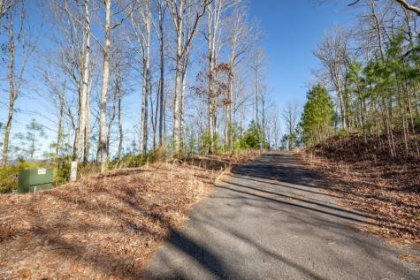 Lot 89 Thirteen Hundred Blairsville GA 30512