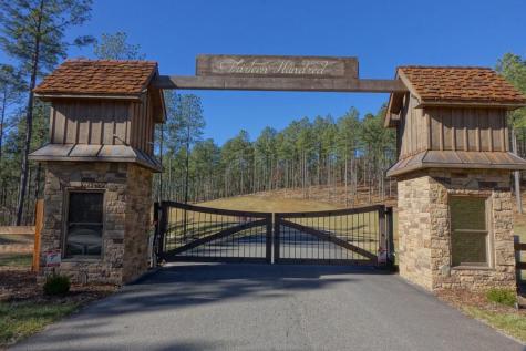 Lot 89 Thirteen Hundred Blairsville GA 30512