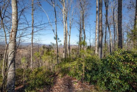 Lot 89 Thirteen Hundred Blairsville GA 30512