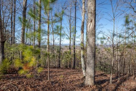 Lot 89 Thirteen Hundred Blairsville GA 30512