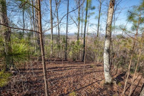 Lot 89 Thirteen Hundred Blairsville GA 30512