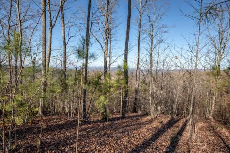 Lot 89 Thirteen Hundred Blairsville GA 30512