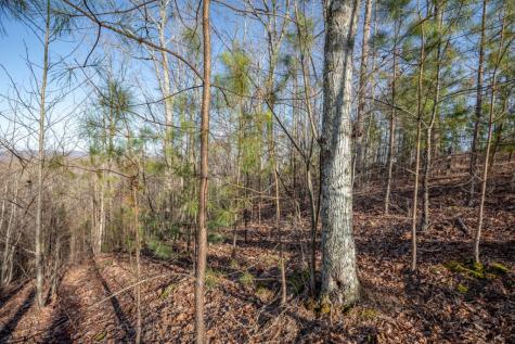 Lot 89 Thirteen Hundred Blairsville GA 30512
