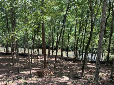 9 Roaring Forks Lane Ellijay GA 30540
