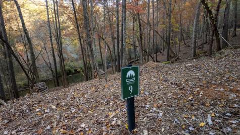 9 Roaring Forks Lane Ellijay GA 30540