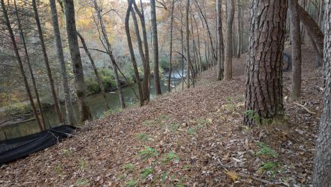 9 Roaring Forks Lane Ellijay GA 30540