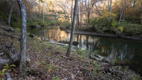 9 Roaring Forks Lane Ellijay GA 30540