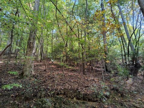 Lot 334 Cold Stream Court Ellijay GA 30540