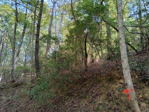 Lot 334 Cold Stream Court Ellijay GA 30540