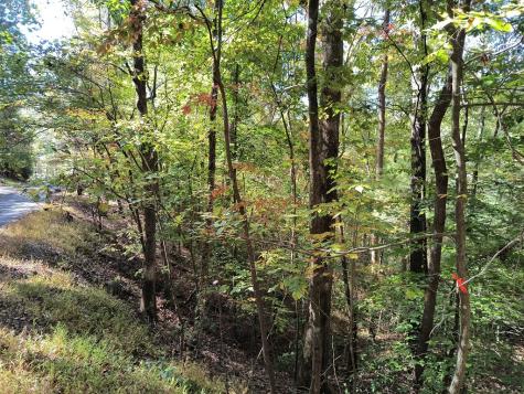 Lot 334 Cold Stream Court Ellijay GA 30540