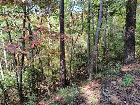 Lot 334 Cold Stream Court Ellijay GA 30540
