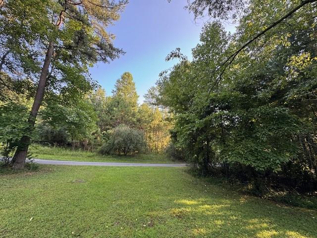 1.18 Newberry Drive Mineral Bluff GA 30559