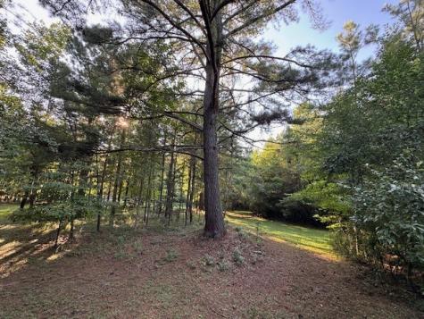 1.18 Newberry Drive Mineral Bluff GA 30559