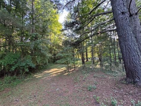 1.18 Newberry Drive Mineral Bluff GA 30559