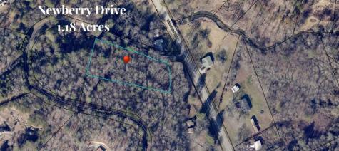 1.18 Newberry Drive Mineral Bluff GA 30559