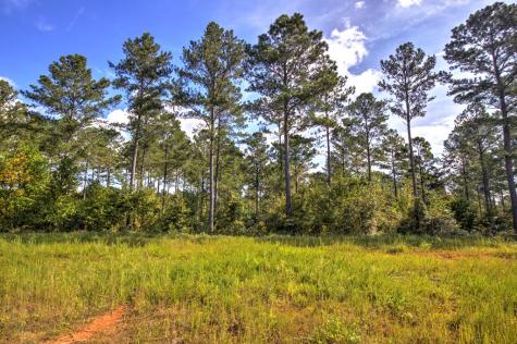 127 Hillside Lane Ellijay GA 30540