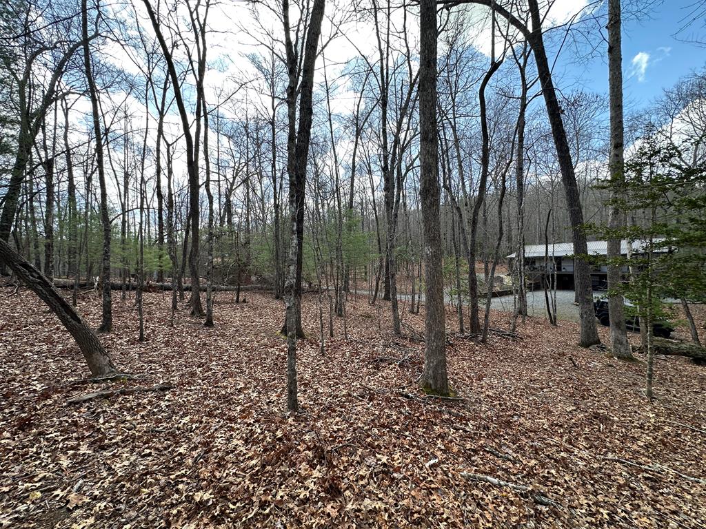 Lot 20 Black Oak Road Cherry Log GA 30522