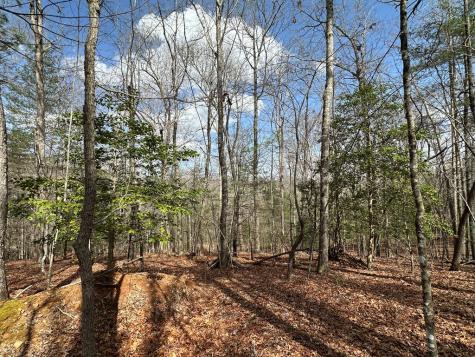 Lot 20 Black Oak Road Cherry Log GA 30522