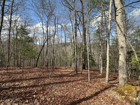 Lot 20 Black Oak Road Cherry Log GA 30522