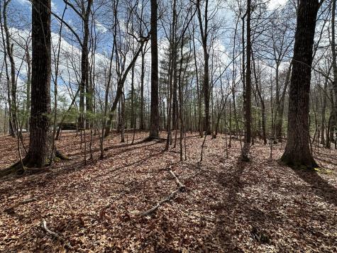 Lot 20 Black Oak Road Cherry Log GA 30522