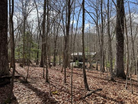 Lot 20 Black Oak Road Cherry Log GA 30522